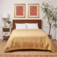 Asheville Cornsilk Full Queen Quilt Fashion