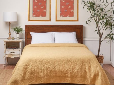 Asheville Cornsilk Full Queen Quilt Fashion