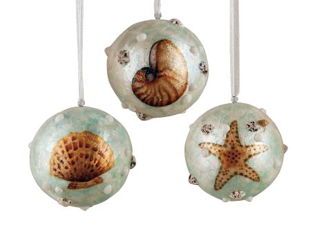 Shell Pearlize Ball Ornaments, Asst. of 3 Hot on Sale