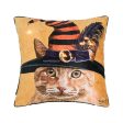 Witch Cat Chuck LED Pillow Online