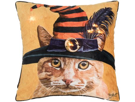 Witch Cat Chuck LED Pillow Online