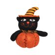 Black Cat in Pumpkin Figurine Sale