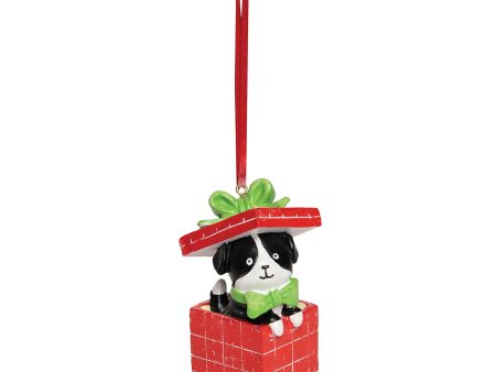 Puppy Present Ornament Fashion