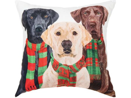 Lab Scarves Trio Pillow Supply