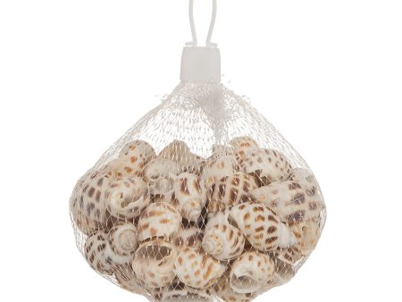 130 gram Bag of Arealata Shells Discount