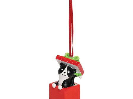 Kitten Present Ornament Online Sale