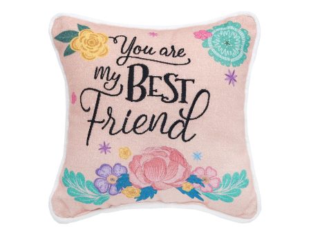 You Are My Best Friend Mini Pillow For Discount