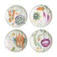 Vegetable Garden Plates, Set of  4 Supply