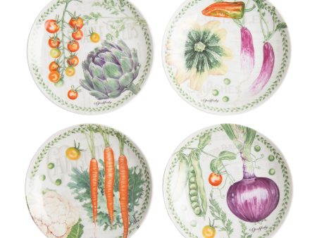 Vegetable Garden Plates, Set of  4 Supply