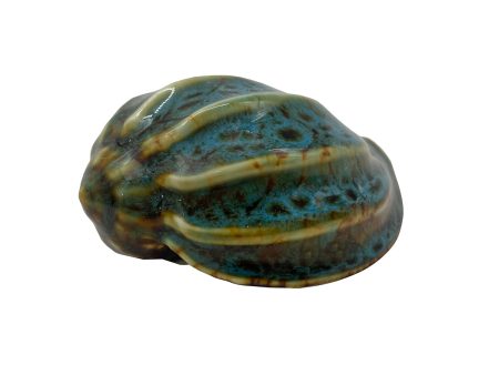 Tulip Shell Figure Sale