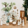 Traditional Nativity with Leaves Set Online