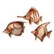 Tortoiseshell Fish Ornaments, Asst. of 3 Hot on Sale