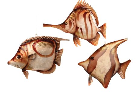 Tortoiseshell Fish Ornaments, Asst. of 3 Hot on Sale