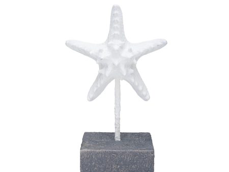 White Sea Star Table Decor Fashion