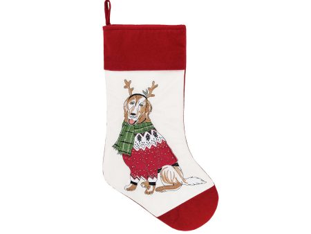 Dog Christmas Stocking Supply